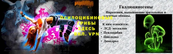 ГАЛЛЮЦИНОГЕННЫЕ ГРИБЫ Володарск